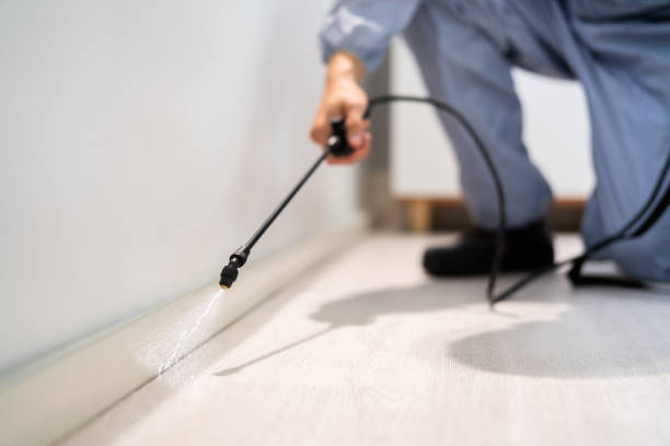 Licensed Fumigation Services service in Pikesville, MD - Nex Pest Control