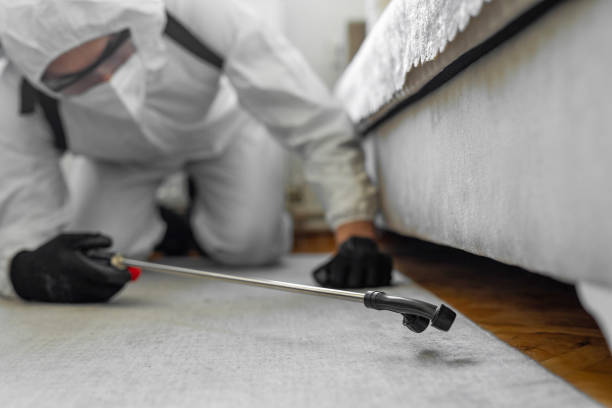 Professional Fumigation Services technician working in Pikesville, MD