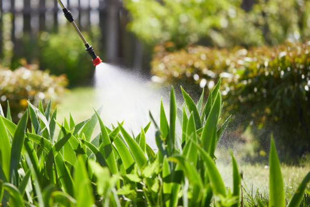 24/7 Emergency Fumigation Services experts in Pikesville, MD